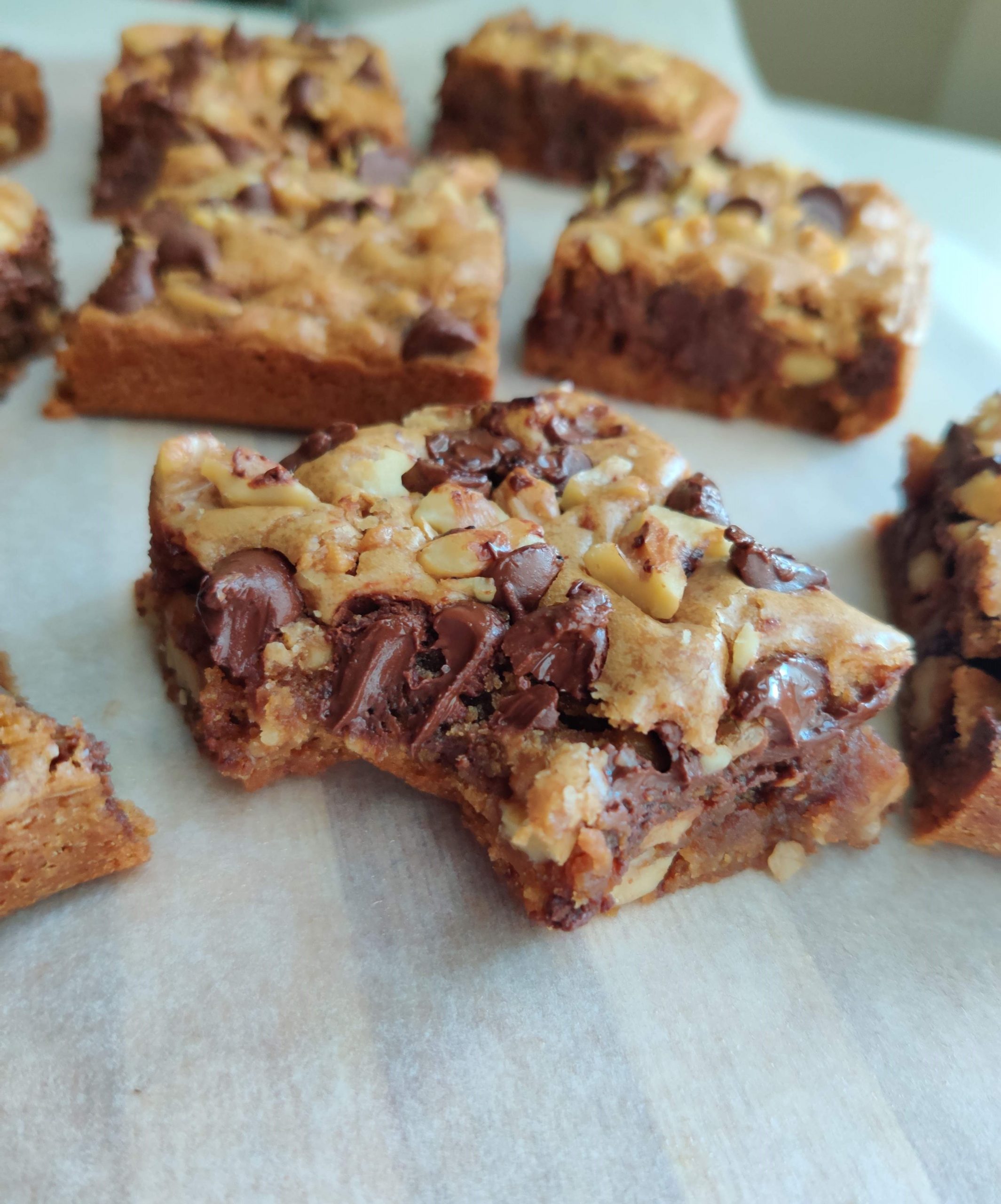 Chocolate Chip Walnut Blondies