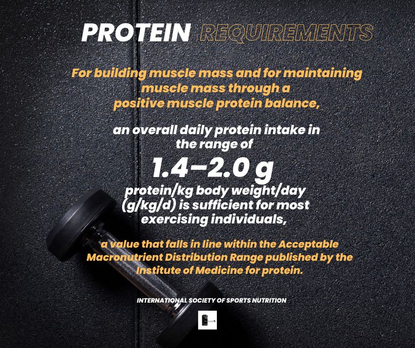 how much grams of protein per day